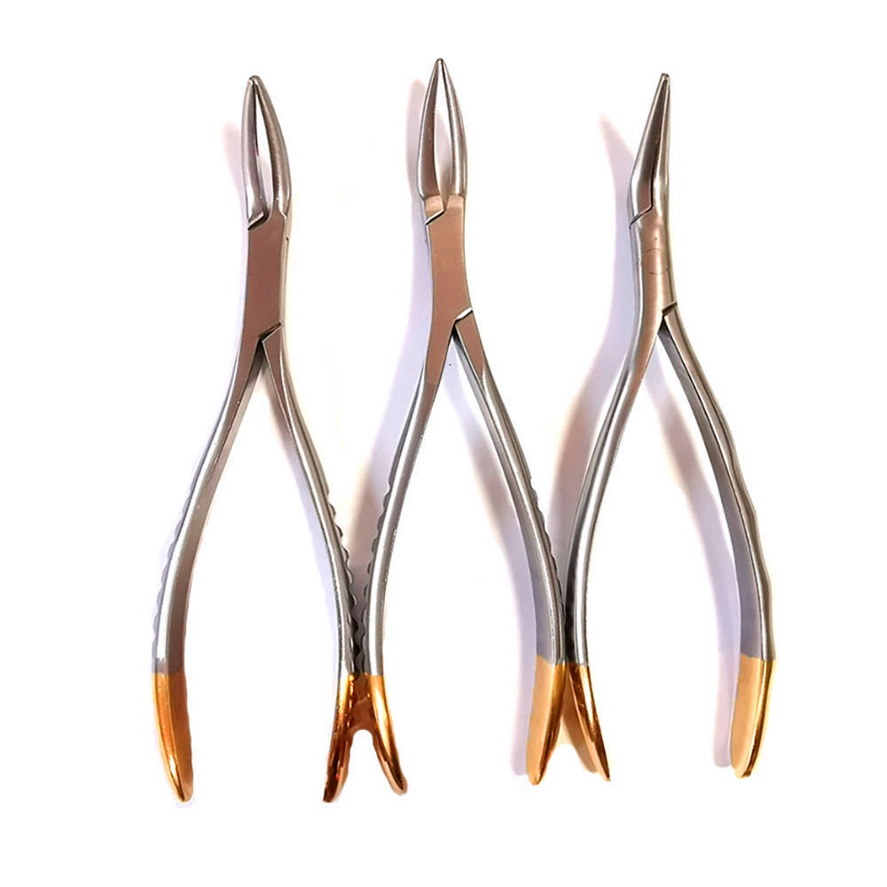 buy or shop online Dental Tooth Forcep