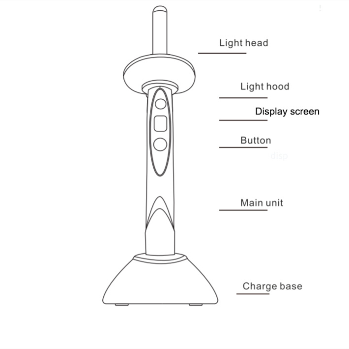 dental curing light structure