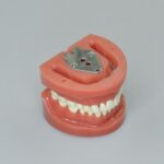 32pcs practice tooth model