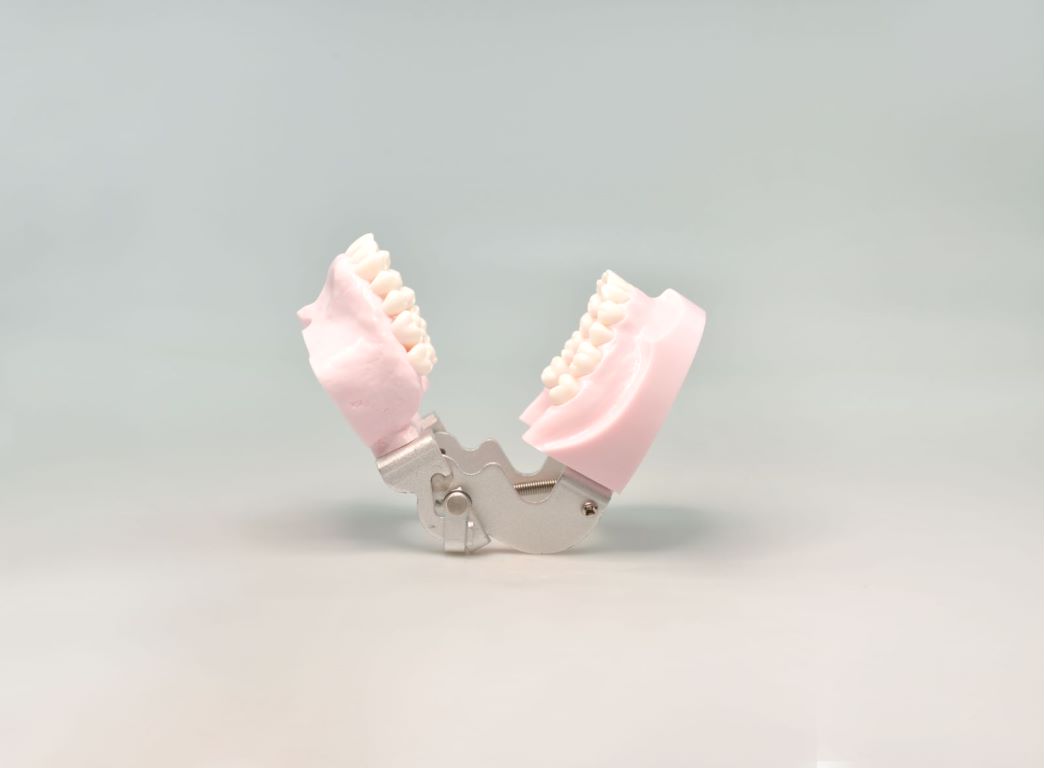 Dental Implant Anchorage Trainning Mode