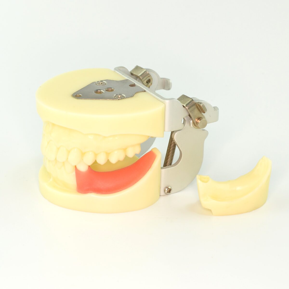 Drilling Training Dentistry Implant Model