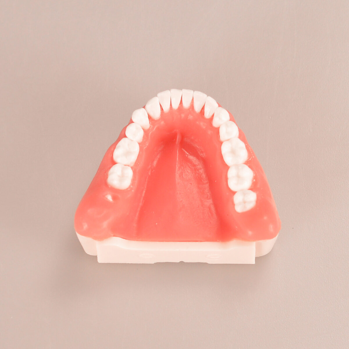 Extraction Models with wisdom tooth