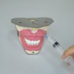 Training model for practicing wisdom tooth extraction