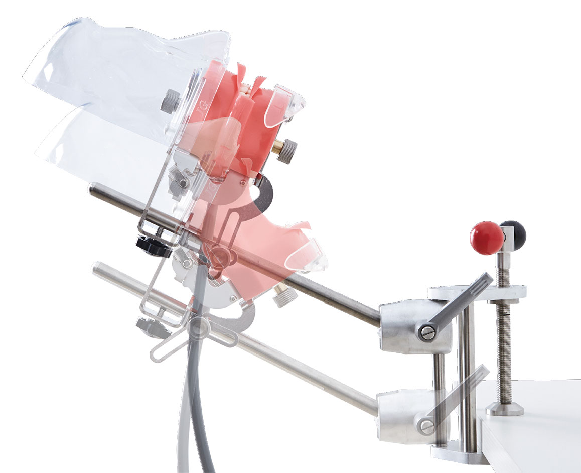adjustable dental simulation system