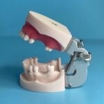 dental practing model full range dentistry