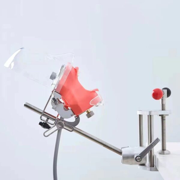 manikin dental simulator