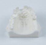 maxilla missing tooth model for implant drilling