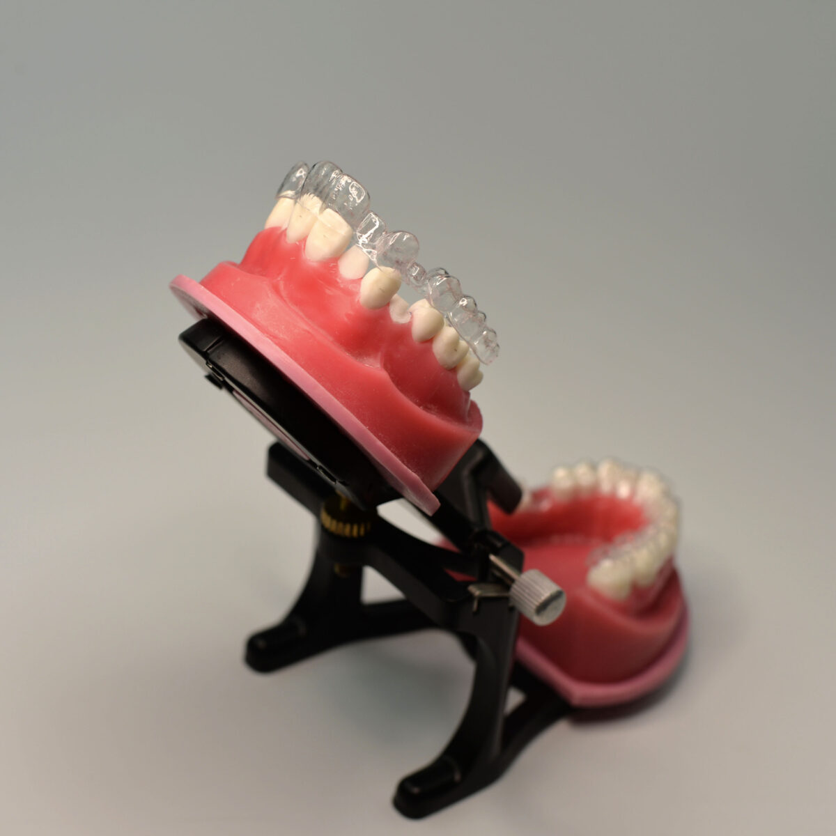 orthodontic training model with retainer