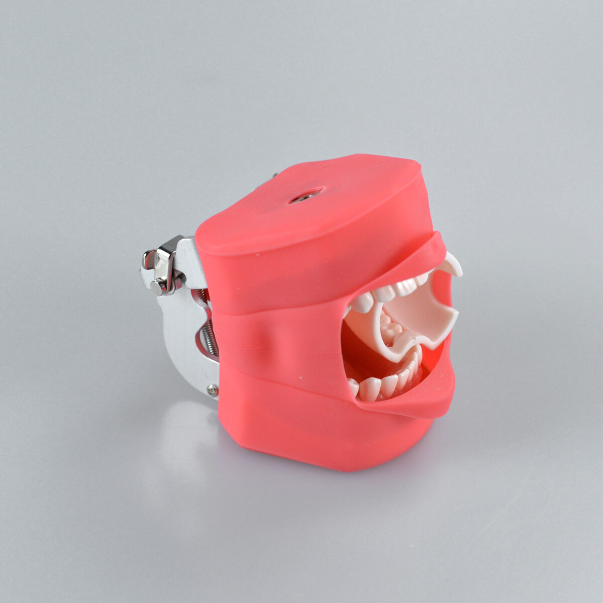 tooth preparation face opener model