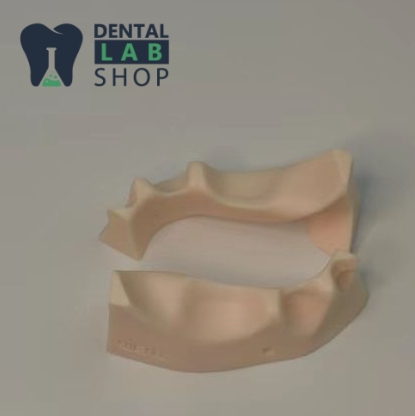 dental implant bone defect practice model