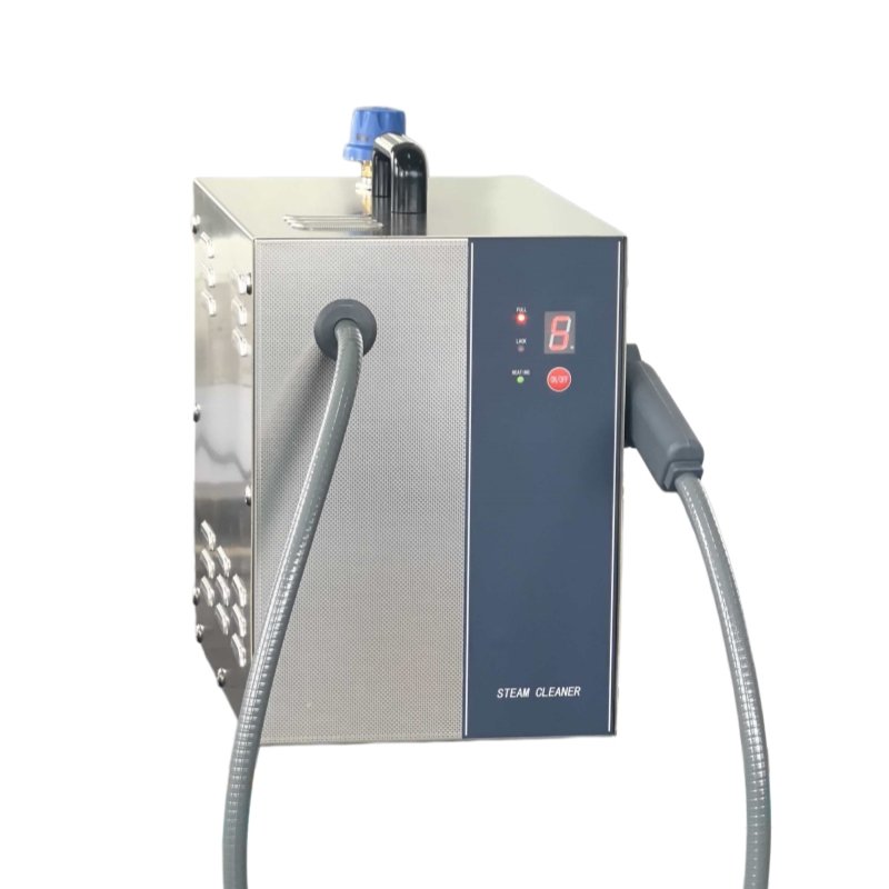 steam cleaner for dental lab instruments and prostheses steam cleaner for dental lab instruments and prostheses